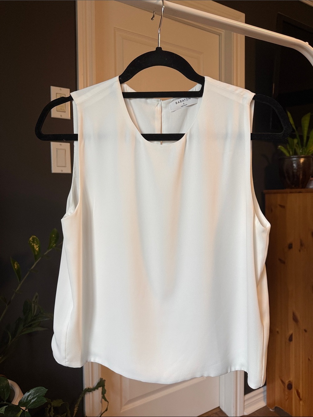 Babaton Ivory Sleeveless V-Neck Top